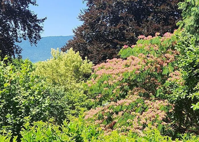 L'orée Du Golf Aix-les-Bains